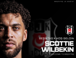 wilbekin