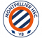 Montpellier HSC VB