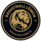 Basketball Braunschweig