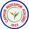 Çaykur Rizespor