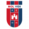 Vidi